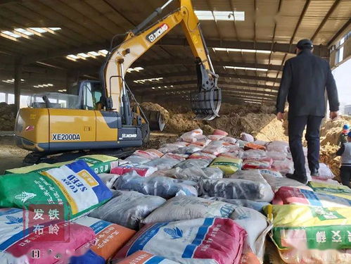 我市集中銷毀8萬斤假劣種子，強化農作物種子市場監(jiān)管