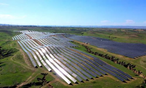 農作物種子經營 國內政策優化與市場發展新趨勢