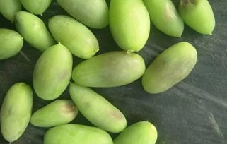 植?？萍贾r(nóng)業(yè)發(fā)展，特色產(chǎn)業(yè)推動鄉(xiāng)村振興